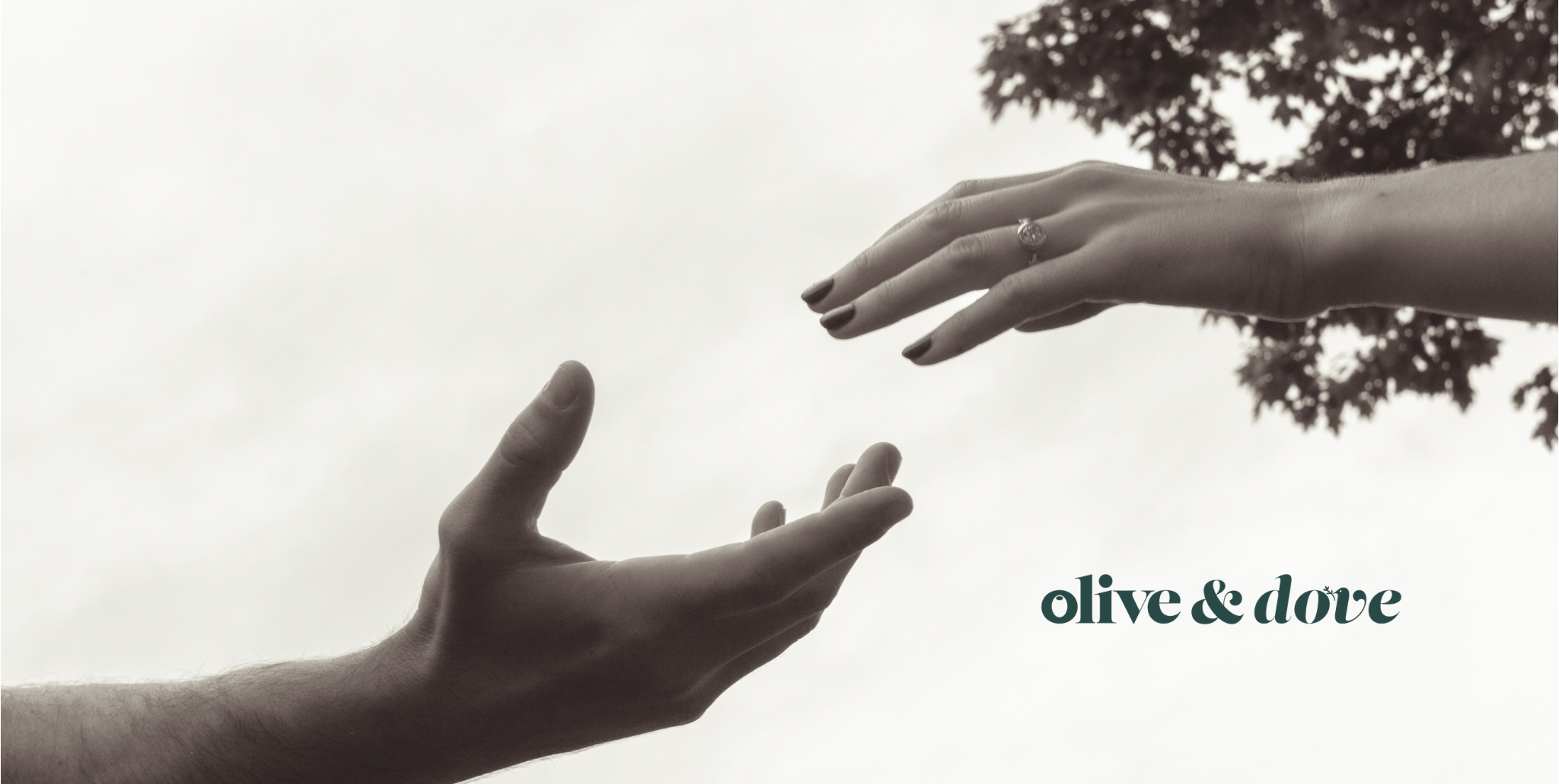 The 21 Day Daniel Fast